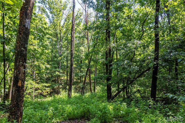 119 AC N State Highway 47, Warrenton, MO 63383