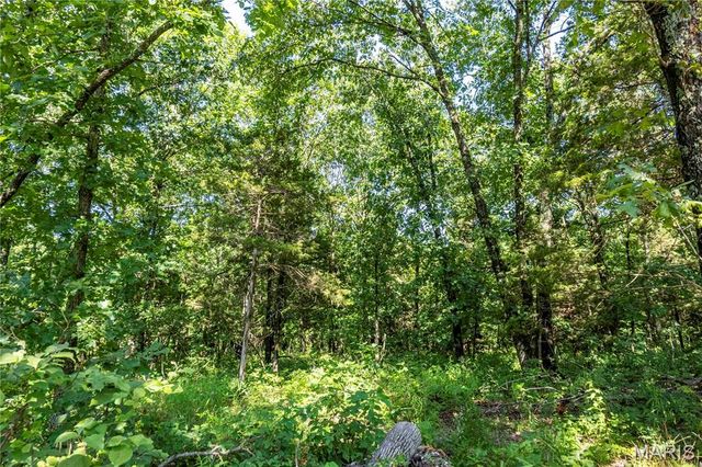 119 AC N State Highway 47, Warrenton, MO 63383