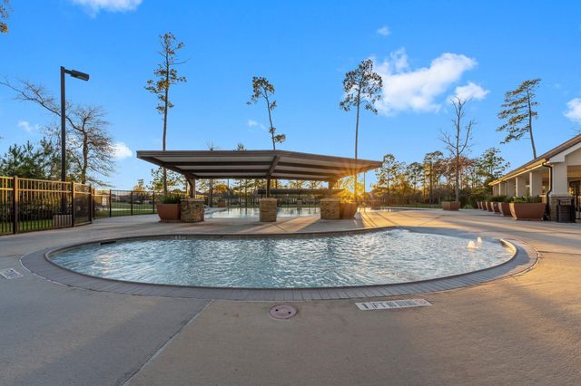 32437 Soaring Willow Way, Conroe, TX 77385