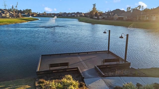 32437 Soaring Willow Way, Conroe, TX 77385