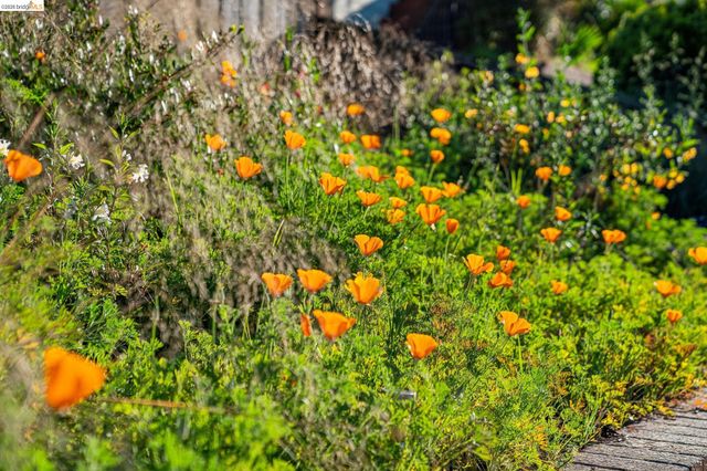 5830 Sutter Ave, Richmond, CA 94804