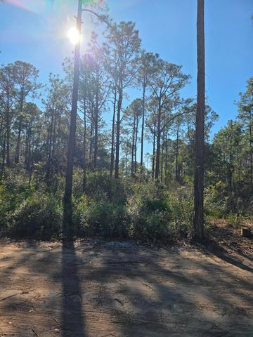 Lot 25 Quail Park, Santa Rosa Beach, FL 32459