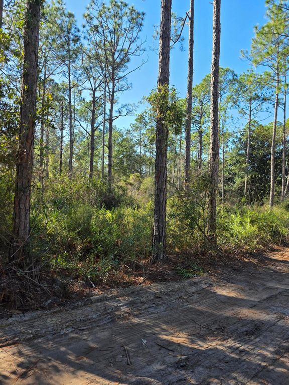 Lot 25 Quail Park, Santa Rosa Beach, FL 32459