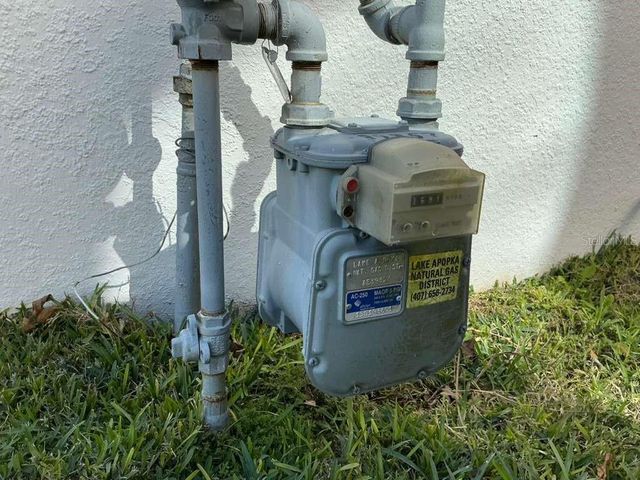 1002 BERRY LEAF COURT, Apopka, FL 32703