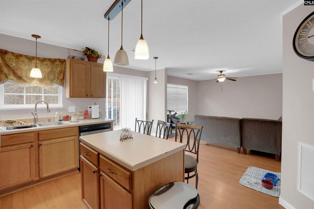 321 Concord Place Road, Irmo, SC 29063