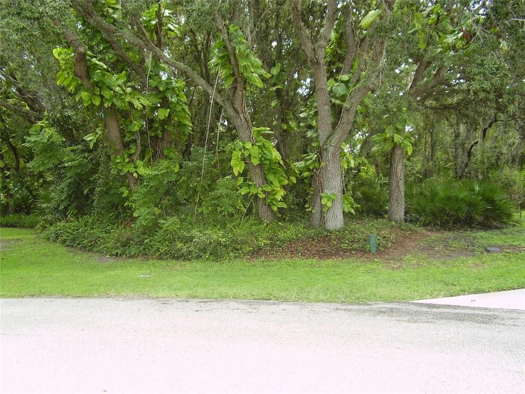 410 ANISE PLACE, Kissimmee, FL 34759
