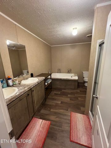 10207 Alex Bales Rd, Kodak, TN 37764