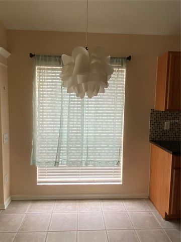 13263 EVENING SUNSET LANE, Riverview, FL 33579