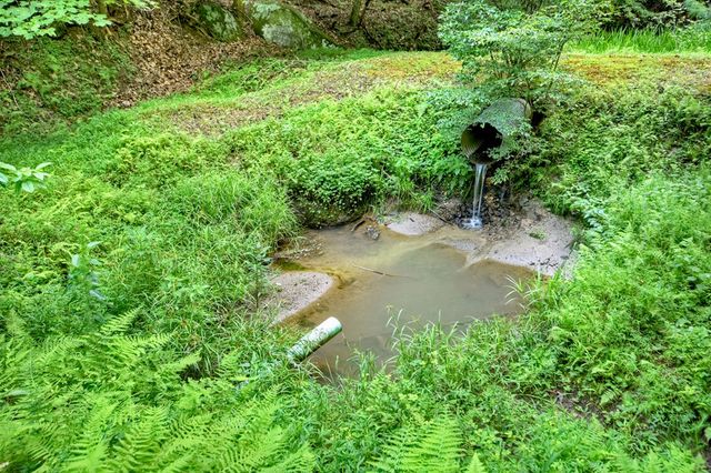 442 N Burgess Gap Road, Morganton, GA 30560