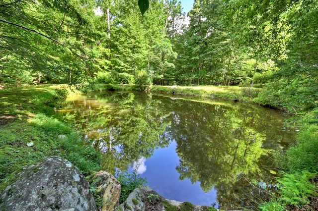 442 N Burgess Gap Road, Morganton, GA 30560