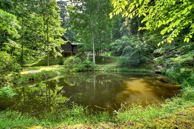 442 N Burgess Gap Road, Morganton, GA 30560