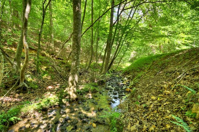 442 N Burgess Gap Road, Morganton, GA 30560