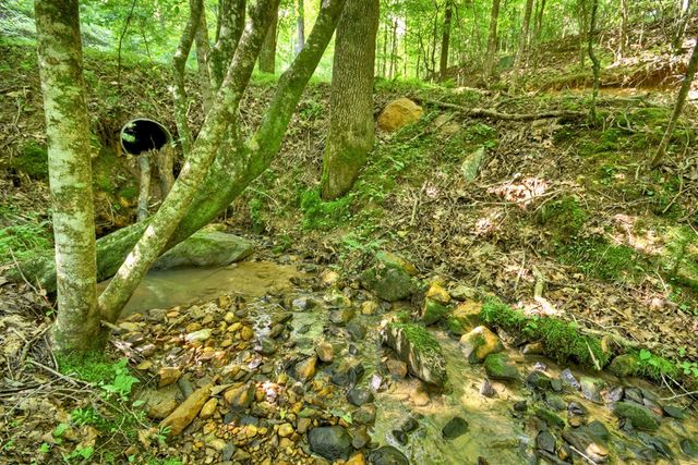 442 N Burgess Gap Road, Morganton, GA 30560