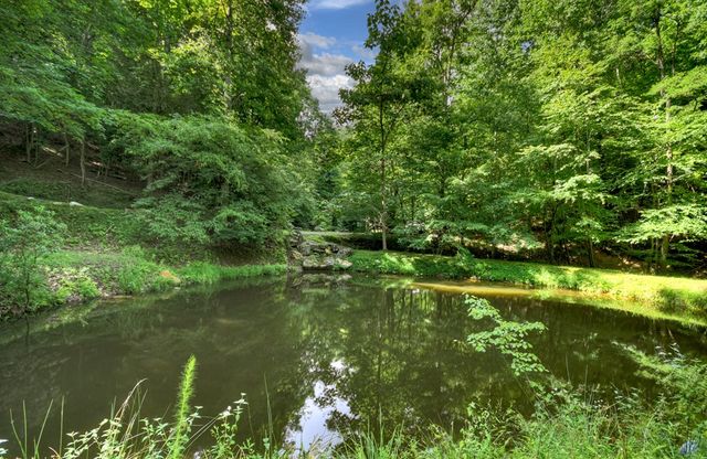 442 N Burgess Gap Road, Morganton, GA 30560