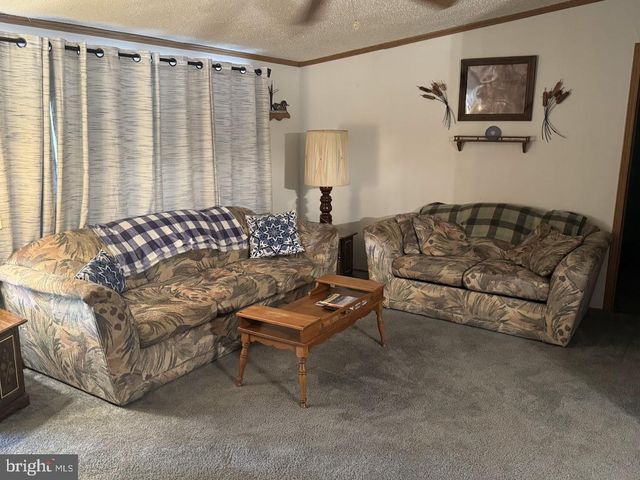 98 BEAR RUN RD, Oakland, MD 21550