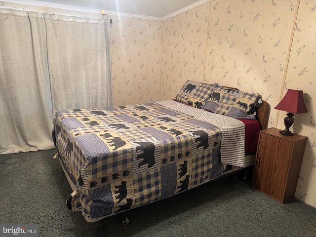 98 BEAR RUN RD, Oakland, MD 21550