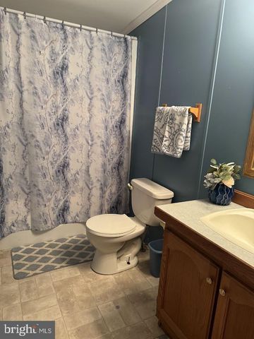 98 BEAR RUN RD, Oakland, MD 21550