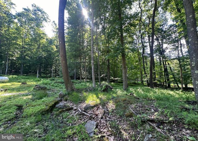 98 BEAR RUN RD, Oakland, MD 21550