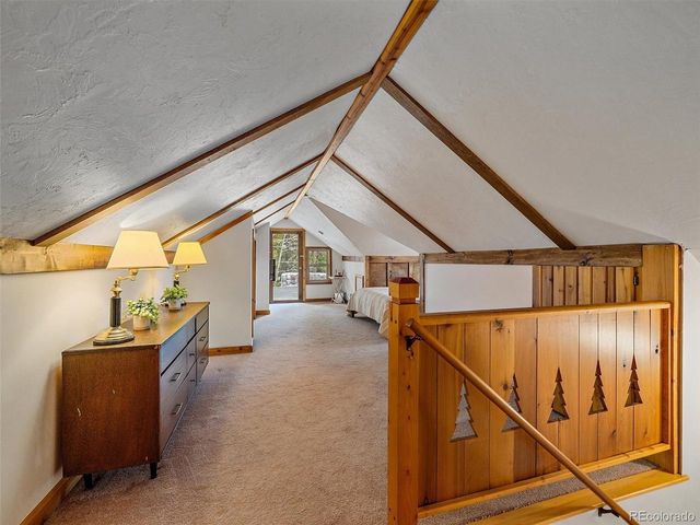 1406 Sinton Rd, Evergreen, CO 80439