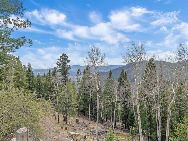 1406 Sinton Rd, Evergreen, CO 80439