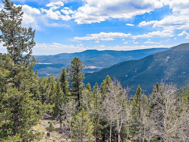 1406 Sinton Rd, Evergreen, CO 80439