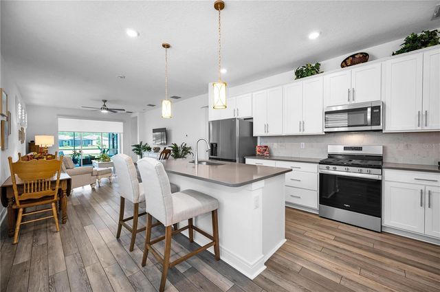 6040 SHOREBIRD BRANCH, Land O Lakes, FL 34638