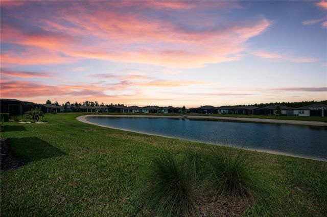 6040 SHOREBIRD BRANCH, Land O Lakes, FL 34638