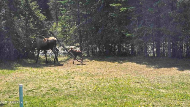 51154 Polaris Way, Kenai, AK 99611