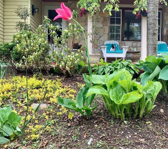 56 Rockridge Rd, Framingham, MA 01702