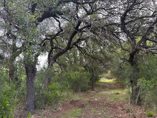 380 Sandy Mountain, Sunrise Beach, TX 78643