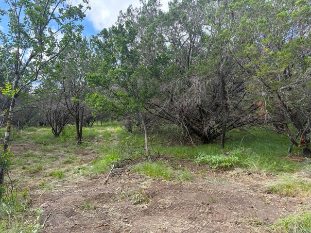 380 Sandy Mountain, Sunrise Beach, TX 78643