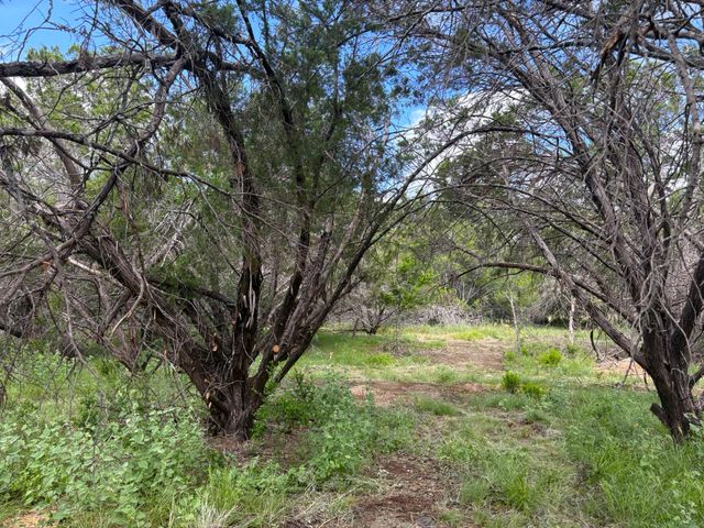 380 Sandy Mountain, Sunrise Beach, TX 78643