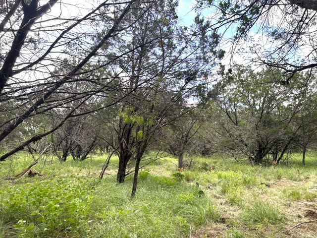380 Sandy Mountain, Sunrise Beach, TX 78643