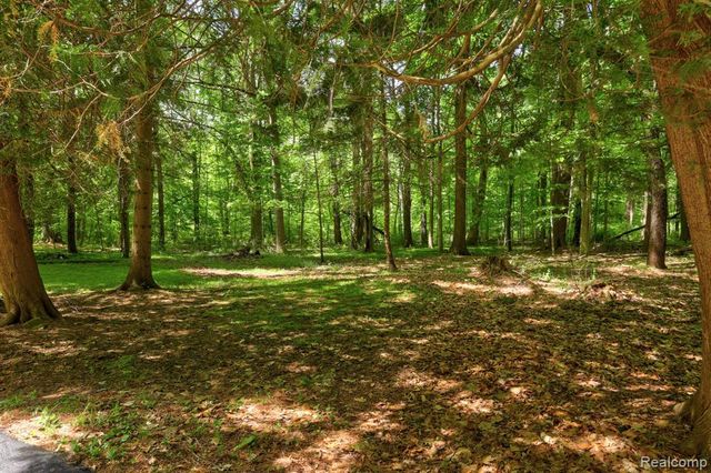 3814 S Towerline Road, Bridgeport, MI 48722