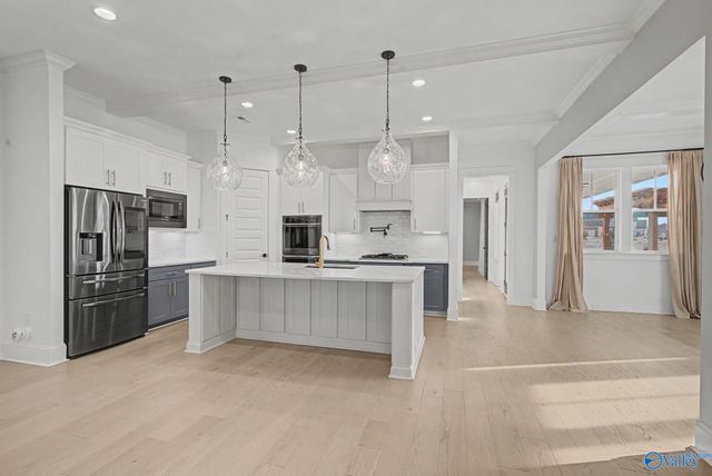 329 Clift Home Place Drive, Madison, AL 35757