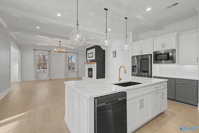 329 Clift Home Place Drive, Madison, AL 35757