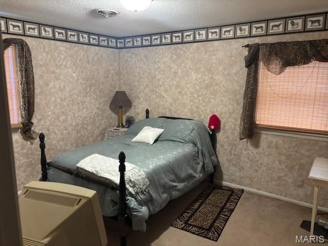 10 Dement Road, Sikeston, MO 63801