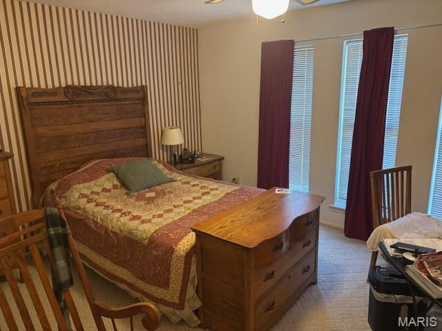 10 Dement Road, Sikeston, MO 63801