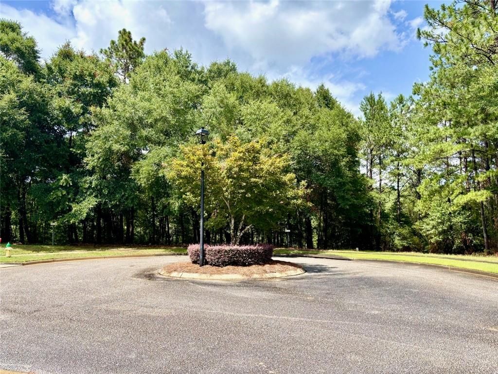 0 Red Maple Drive, Mobile, AL 36618 — photo 3
