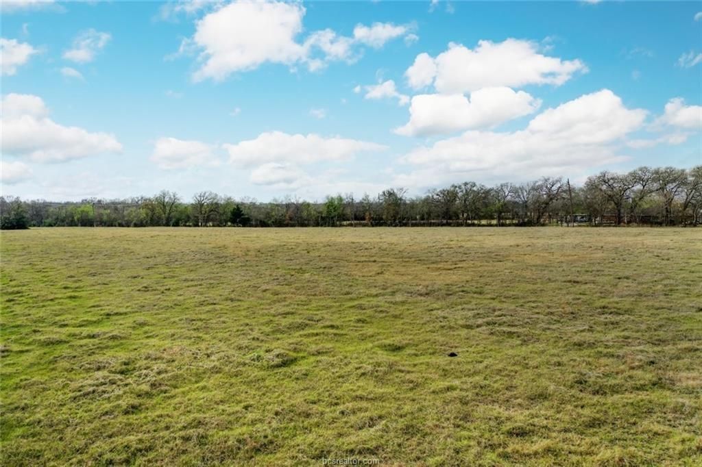 4 acs Fm 3091, Madisonville, TX 77864 — photo 4