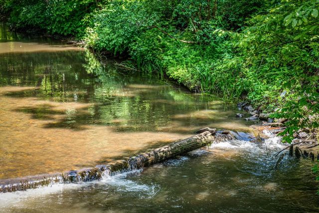 2977 Hwy 2, Blue Ridge, GA 30513