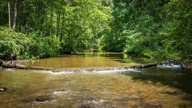 2977 Hwy 2, Blue Ridge, GA 30513