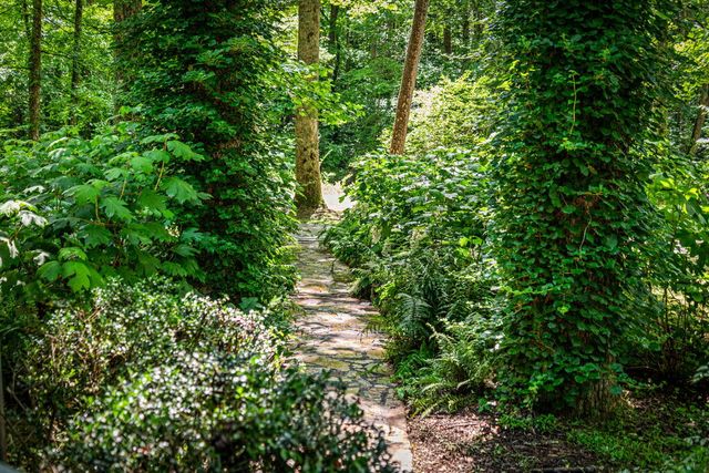 2977 Hwy 2, Blue Ridge, GA 30513