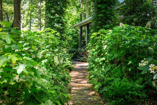 2977 Hwy 2, Blue Ridge, GA 30513