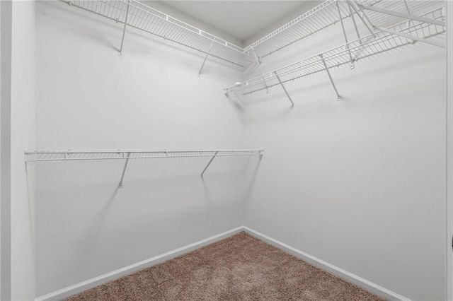 3616 Creek Arbor Court, Suwanee, GA 30024