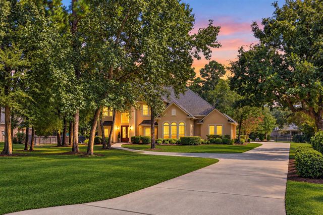 4231 Starling Stream Drive, Spring, TX 77386