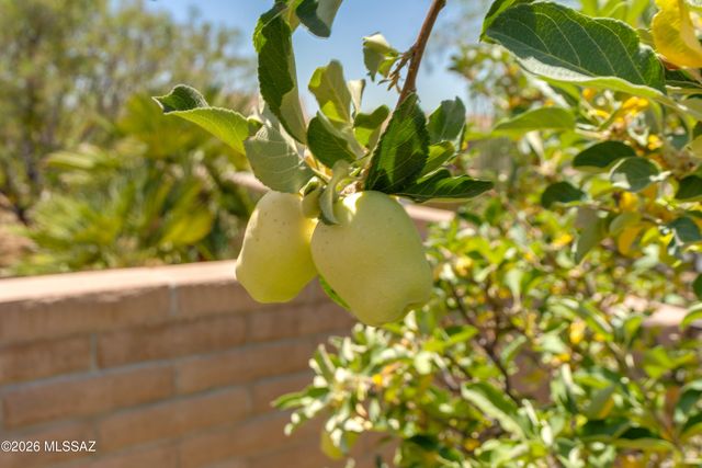 779 N Lukeville Drive, Green Valley, AZ 85614