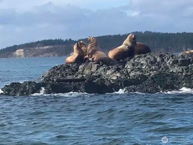 641 Decatur Head Drive, Decatur Island, WA 98221