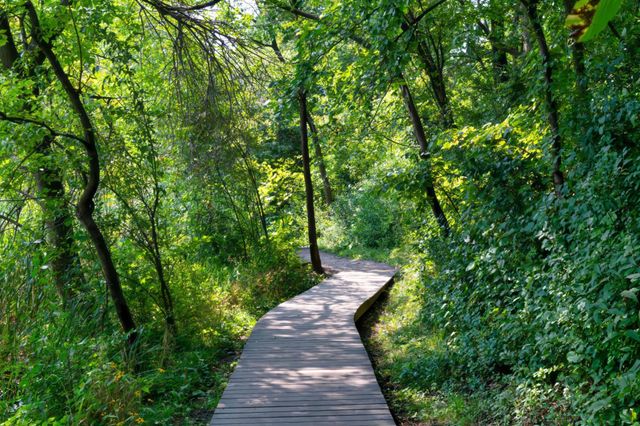 12297 Coffee Trail, Rosemount, MN 55068