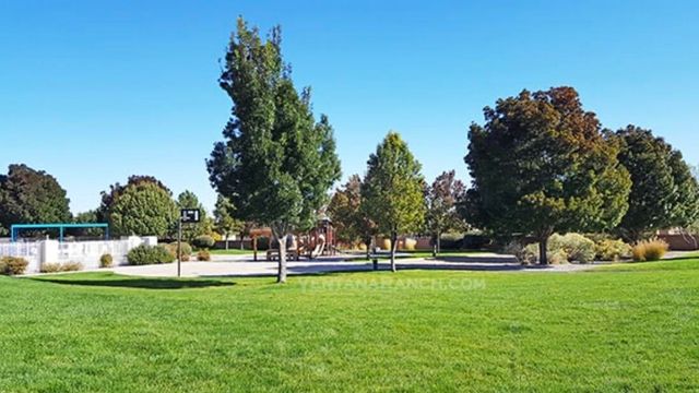 10040 Vista Cantera Lane NW, Albuquerque, NM 87114